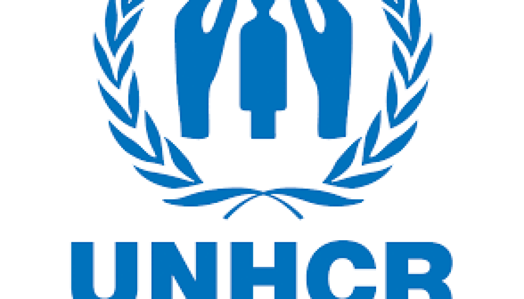 Assistant Protection Officer Vacancy-Job Ref: ACSYUNHCR/1001/202429